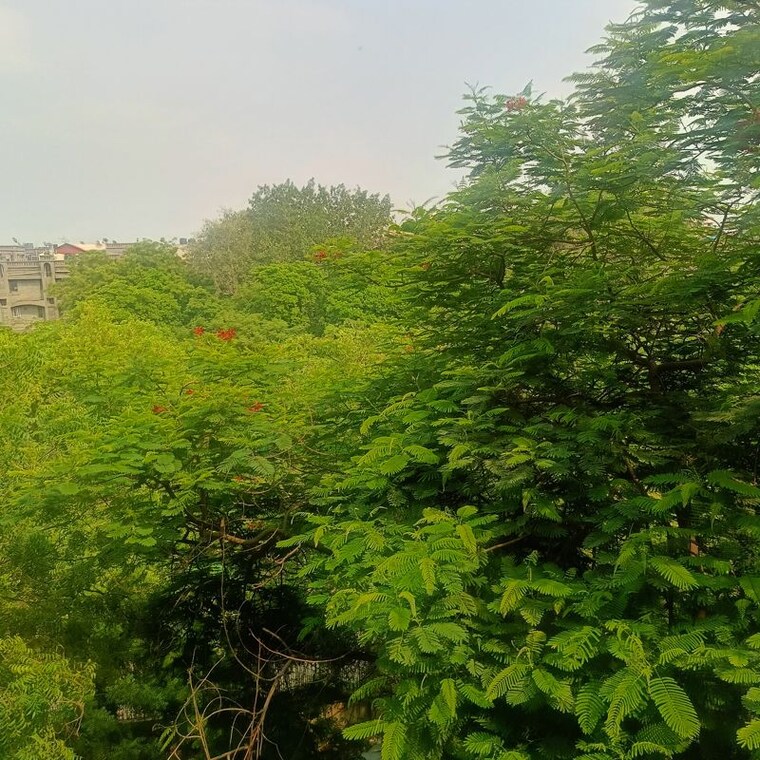 Garden, dwarka 2.5 Bedroom 1200 Sq.Ft. Apartment In Dwarka Delhi 9983626