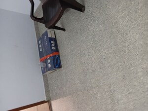 1 BHK Apartment For Rent in Manikonda