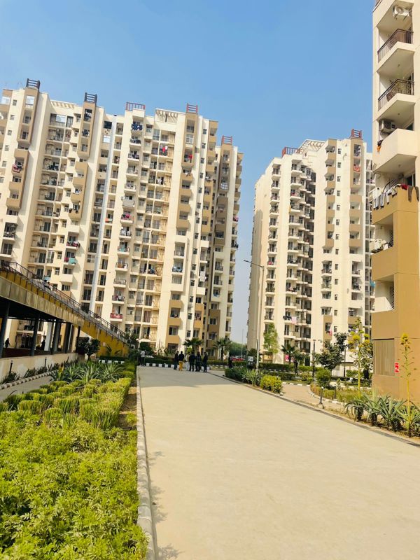 2 BHK + Pooja Room Apartment For Rent in Amrapali Leisure Park