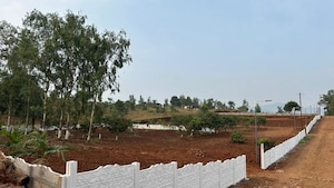 Plot Area in  Plot at Phalane – for Sale