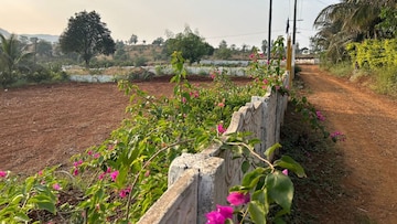  Plot – Garden View at Phalane - for Sale