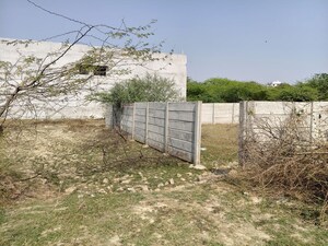 Plot Area in  Plot at Kalli Paschim – for Sale