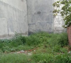 Plot For Sale in B Block Lohia Nagar