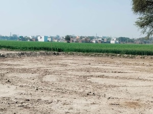 Plot Area in  Plot at Bhopani – for Sale