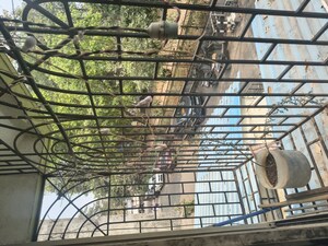 2 BHK Villa – Exterior View View at Kurla East - for Rent