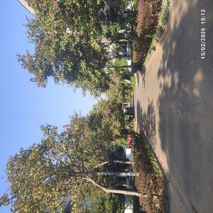 5 BHK Villa – Exterior View View at SS Hibiscus, Sector 50 - for Rent