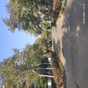 5 BHK Villa For Rent in SS Hibiscus, Sector 50