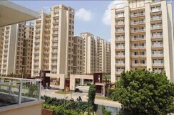 3 BHK Apartment For Sale in Tulip Orange