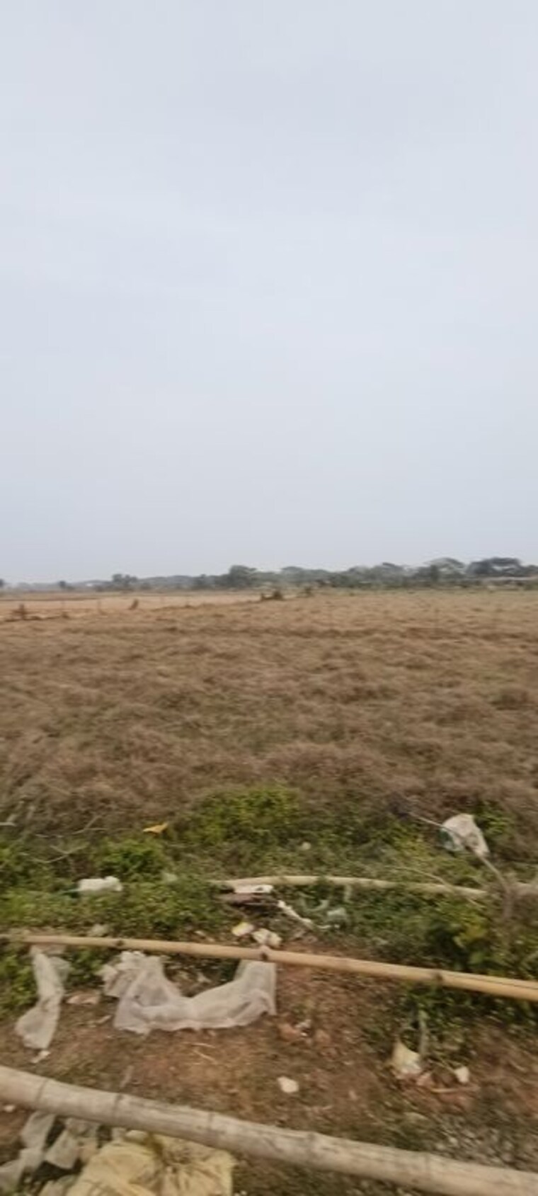 undefined, patrapada  1500 Sq.Ft. Plot In Patrapada Bhubaneswar 9986736