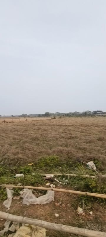 Plot Area in  Plot at Patrapada – for Sale