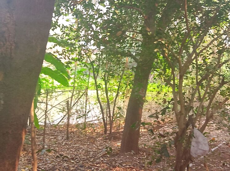 Garden, nere  1089 Sq.Ft. Plot In Nere Navi Mumbai 9986771