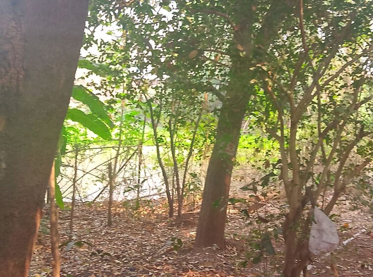 Garden, nere  1089 Sq.Ft. Plot In Nere Navi Mumbai 9986771