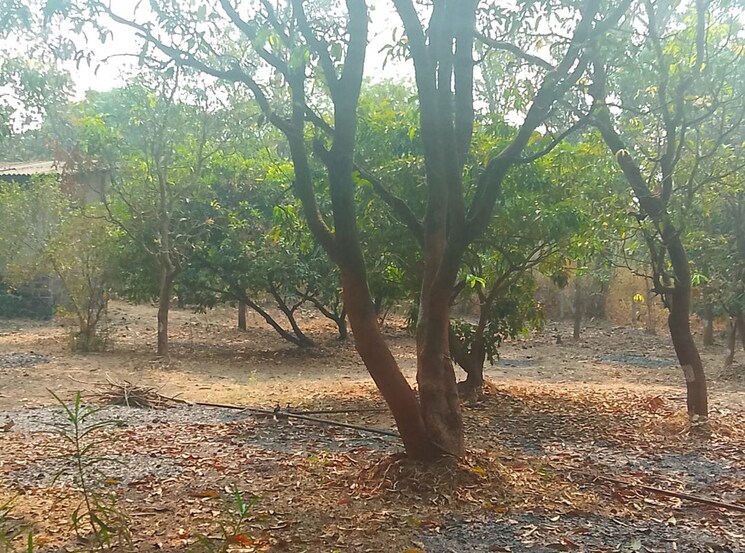 undefined, nere  1089 Sq.Ft. Plot In Nere Navi Mumbai 9986771