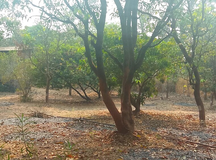 undefined, nere  1089 Sq.Ft. Plot In Nere Navi Mumbai 9986771