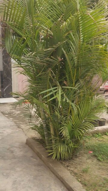 3 BHK Villa – Garden View at Daurli - for Sale