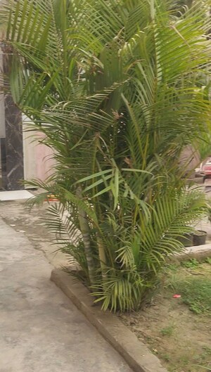 3 BHK Villa – Garden View at Daurli - for Sale