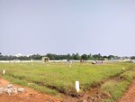 220 Sq.Yd. Plot in Rushikonda