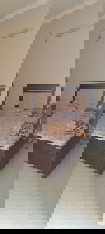 3 BHK 2000 Sq.Ft. Builder Floor in RWA Apartments Sector 50