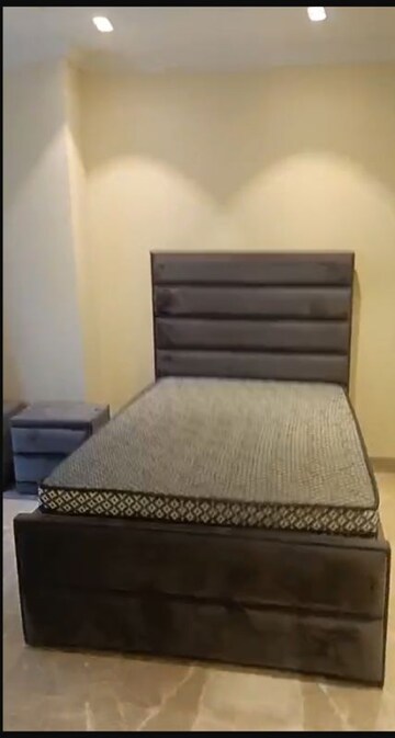 4 BHK Builder Floor For Rent in Vasant Vihar