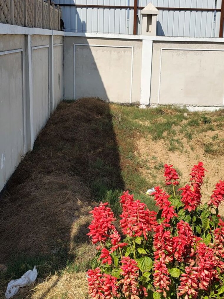 Garden, sohna sector 4  167 Sq.Yd. Plot In Sohna Sector 4 Gurgaon 9987937