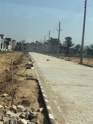 Plot Area in  Plot at Dera Bassi – for Sale