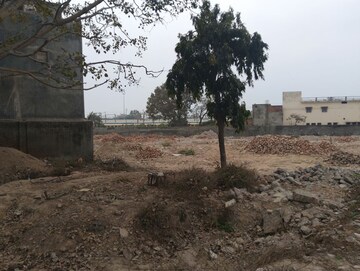 Plot Area in  Plot at Model Town – for Sale