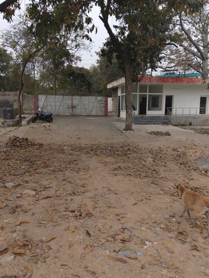  Plot For Sale in Model Town