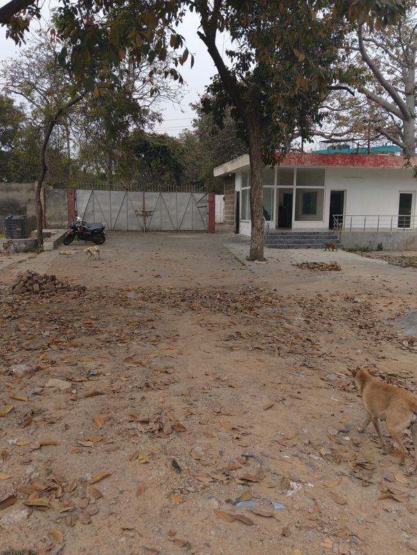 Plot For Sale in Model Town