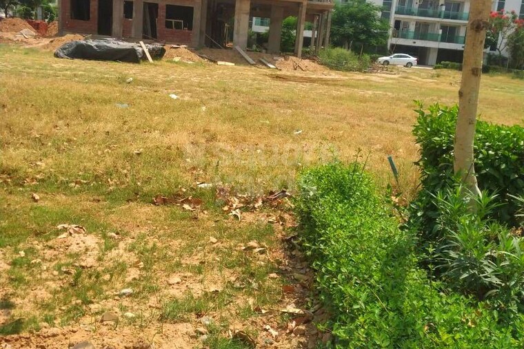 Garden, bharat colony  116 Sq.Yd. Plot In Bharat Colony Faridabad 9988349