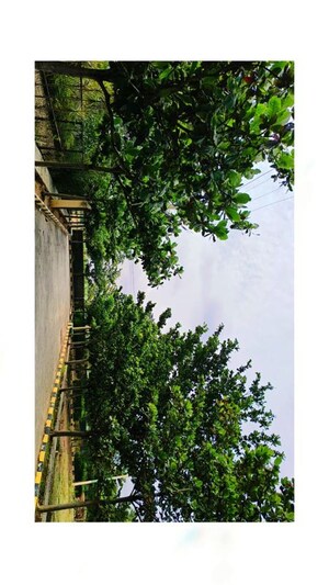  Plot – Exterior View View at SKH Echium, Whitefield - for Sale