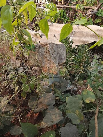 Plot Area in  Plot at Gambhiram – for Sale