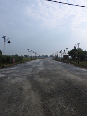 Plot Area in  Plot at Jattari – for Sale