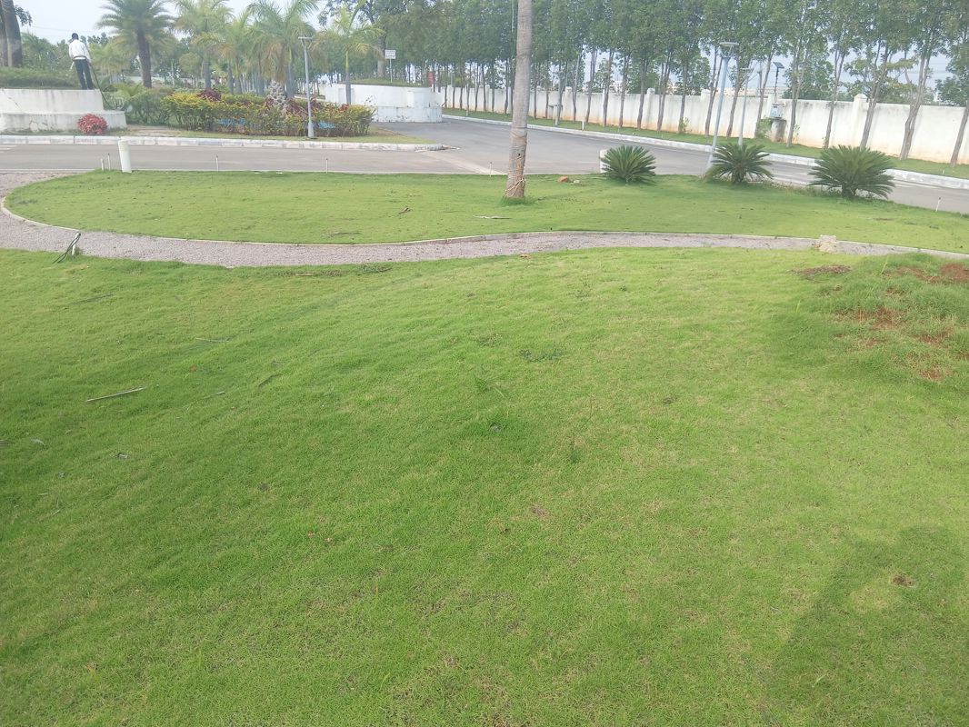 Plot For Sale in Tukkuguda