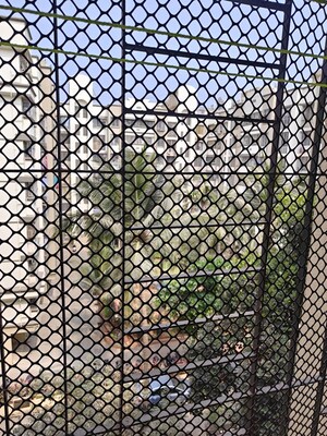 Balcony in 1 BHK Apartment at Lokhandwala Infrastructure Spring Leaf, Kandivali East – for Rent