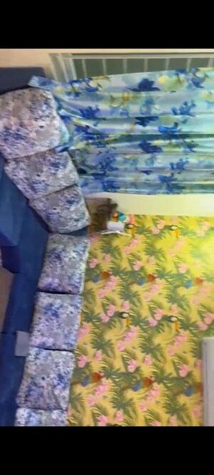 Living Room in 3 BHK Apartment at Aparna Sarovar Zenith, Nallagandla – for Rent