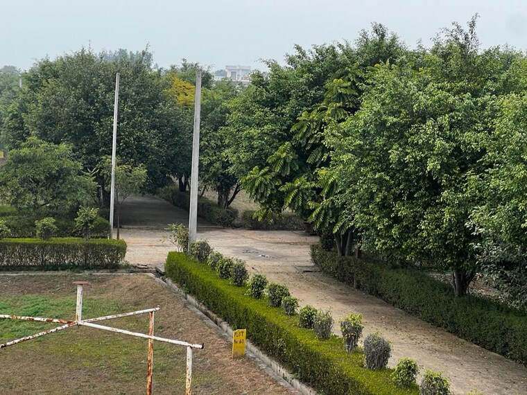 Garden, tappal  1418 Sq.Ft. Plot In Tappal Aligarh 9990855