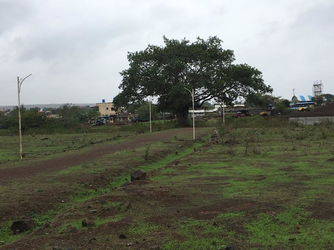 Plot For Sale in Khambale