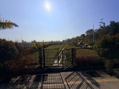 Plot For Sale in Mohabbewala