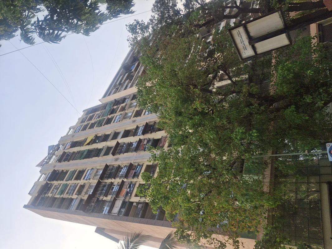 1 BHK Apartment For Rent in Moraj Prive