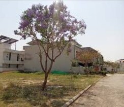 Plot For Sale in Sector 84