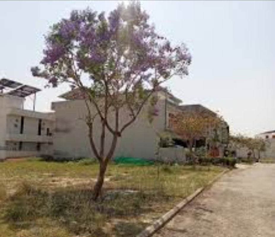 Plot For Sale in Sector 84
