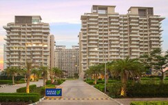 3 BHK Apartment For Sale in Paras Irene