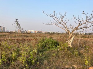 Plot Area in  Plot at Patrapada – for Sale