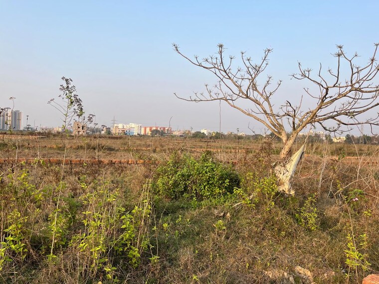 undefined, patrapada  1800 Sq.Ft. Plot In Patrapada Bhubaneswar 9993668