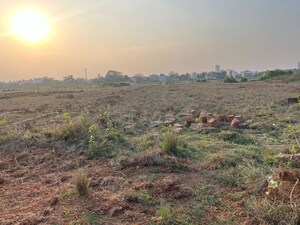  Plot For Sale in Patrapada