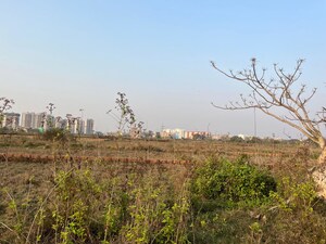 Plot Area in  Plot at Patrapada – for Sale