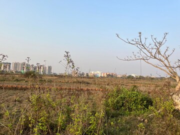 Plot Area in  Plot at Patrapada – for Sale