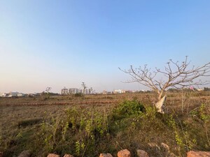 Plot Area in  Plot at Patrapada – for Sale