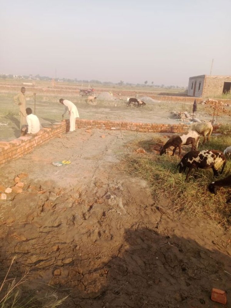 undefined, kaliawas  166 Sq.Yd. Plot In Kaliawas Gurgaon 9993741