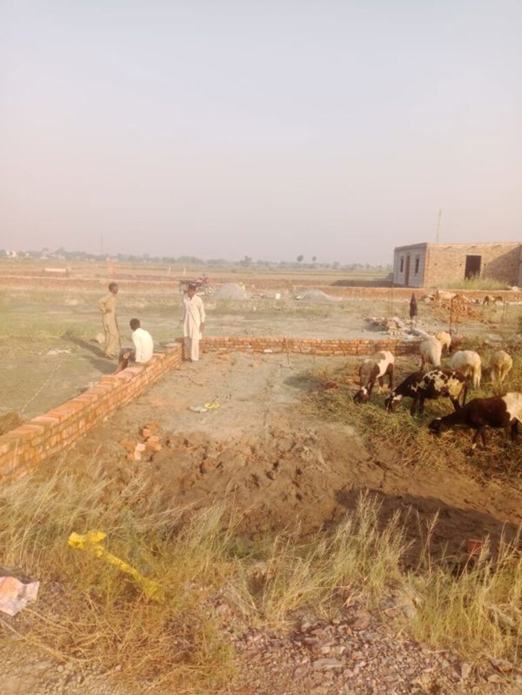 undefined, kaliawas  118 Sq.Yd. Plot In Kaliawas Gurgaon 9993760